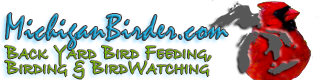 Michigan Birder